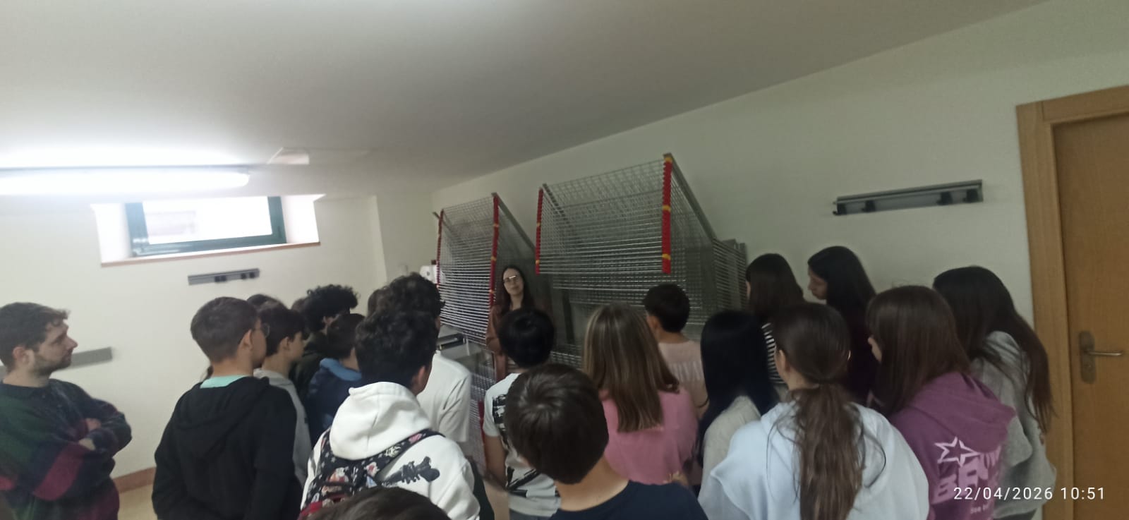 Archivo 6